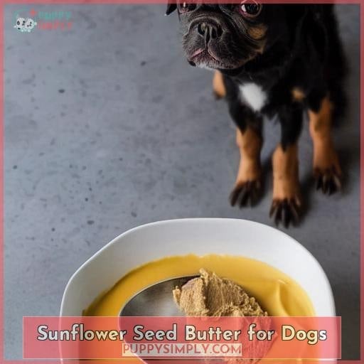 Sunflower Seed Butter for Dogs