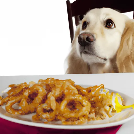 Symptoms of Calamari Allergy or Sensitivity in Dogs