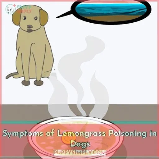 Symptoms of Lemongrass Poisoning in Dogs