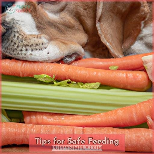 Tips for Safe Feeding