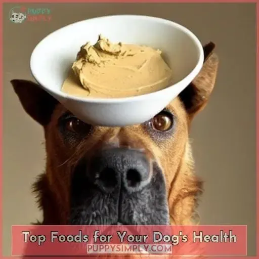 Top Foods for Your Dog