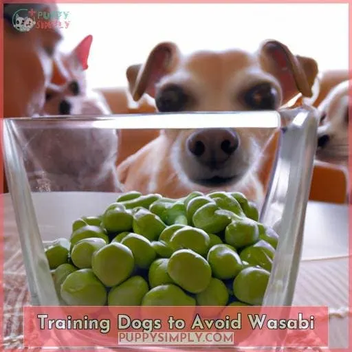 Training Dogs to Avoid Wasabi
