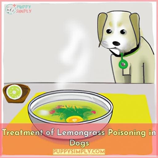 Treatment of Lemongrass Poisoning in Dogs