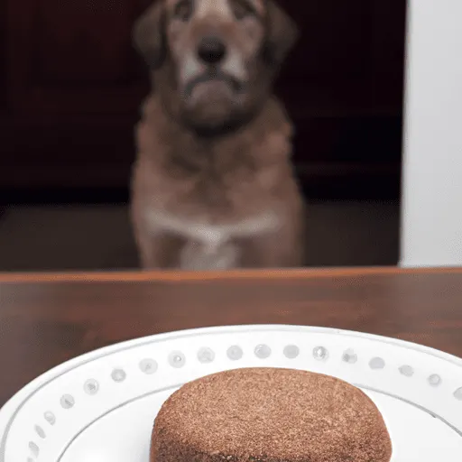 Treats for Pets Should Be Given in Moderation