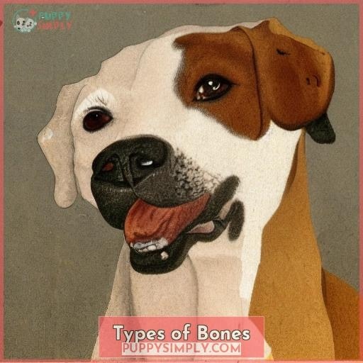 Types of Bones