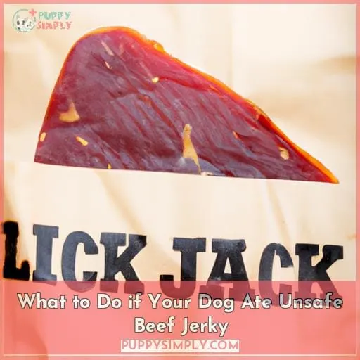 What to Do if Your Dog Ate Unsafe Beef Jerky