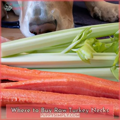 Where to Buy Raw Turkey Necks
