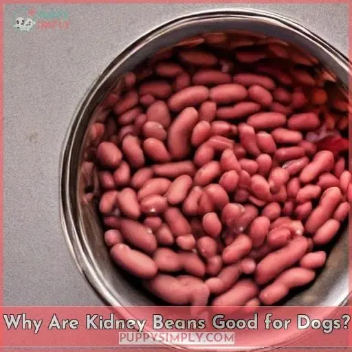 Why Are Kidney Beans Good for Dogs?
