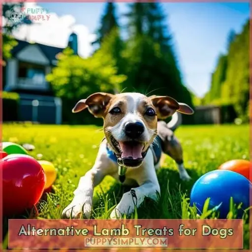 Alternative Lamb Treats for Dogs