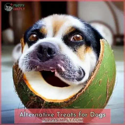 Alternative Treats for Dogs