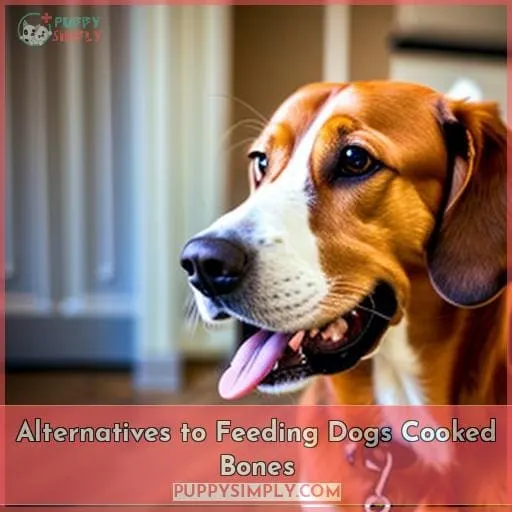 Alternatives to Feeding Dogs Cooked Bones