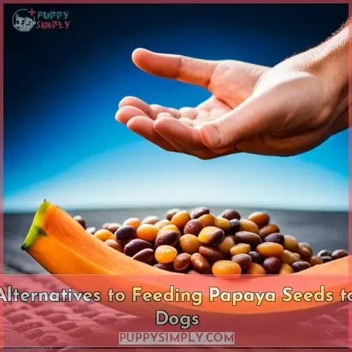 Alternatives to Feeding Papaya Seeds to Dogs