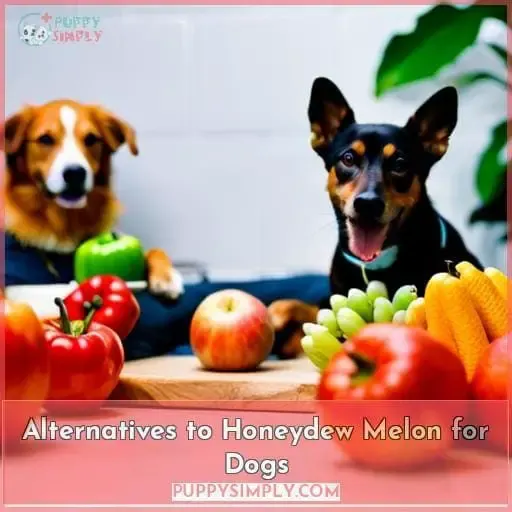 Alternatives to Honeydew Melon for Dogs