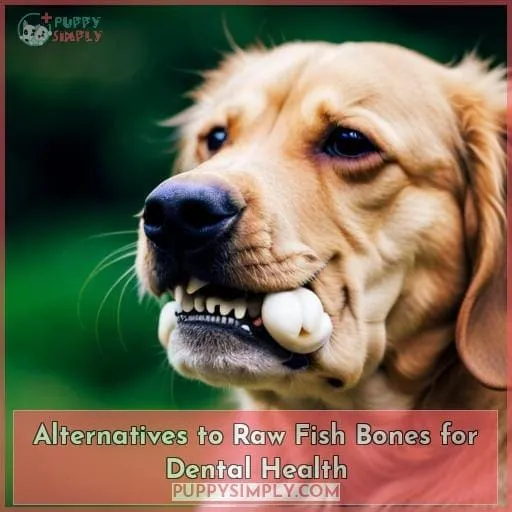 Alternatives to Raw Fish Bones for Dental Health