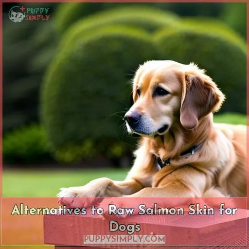 Alternatives to Raw Salmon Skin for Dogs