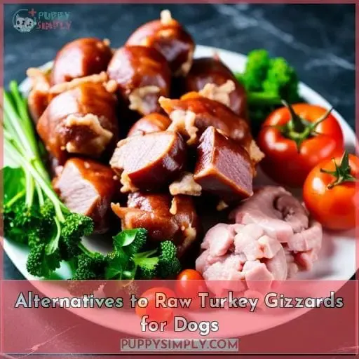Alternatives to Raw Turkey Gizzards for Dogs