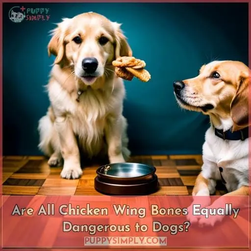 Are All Chicken Wing Bones Equally Dangerous to Dogs?