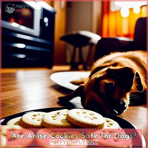 Can Dogs Eat Anise Cookies? Safety, Risks & Tips for Pet Owners