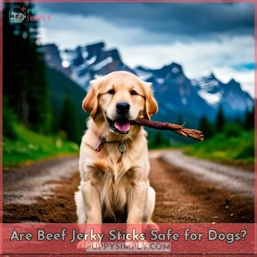 Are Beef Jerky Sticks Safe for Dogs?