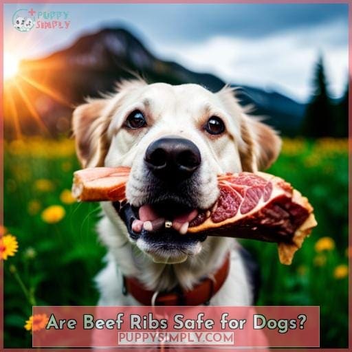 Are Beef Ribs Safe for Dogs? Tips for Safe Bone Feeding