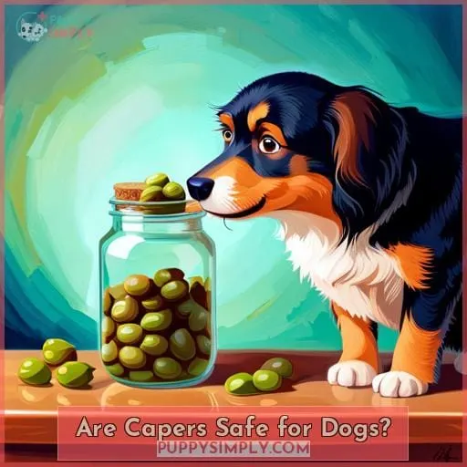 Are Capers Safe for Dogs?