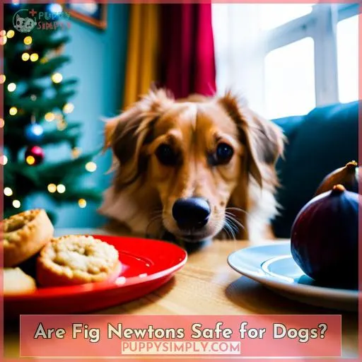 Are Fig Newtons Safe for Dogs?