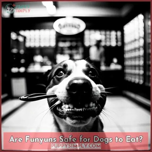 Are Funyuns Safe for Dogs to Eat?