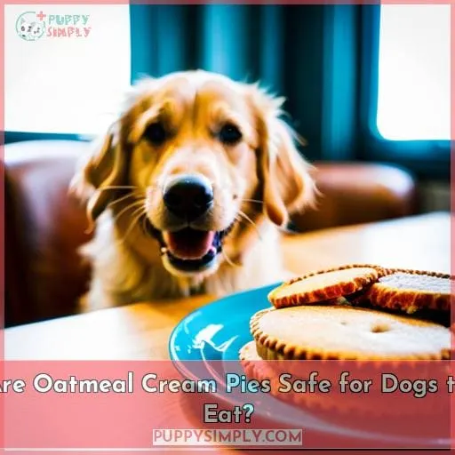 Are Oatmeal Cream Pies Safe for Dogs to Eat?