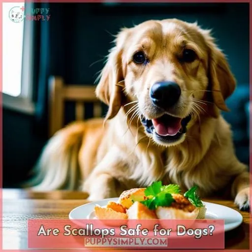 Are Scallops Safe for Dogs?