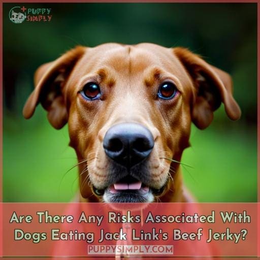 Are There Any Risks Associated With Dogs Eating Jack Link's Beef Jerky?