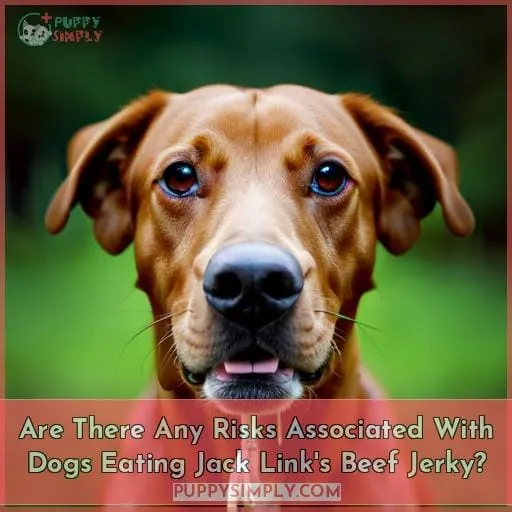 Are There Any Risks Associated With Dogs Eating Jack Link