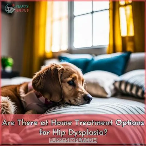 Are There at Home Treatment Options for Hip Dysplasia?