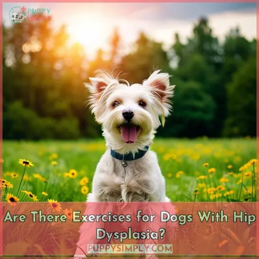 Are There Exercises for Dogs With Hip Dysplasia?