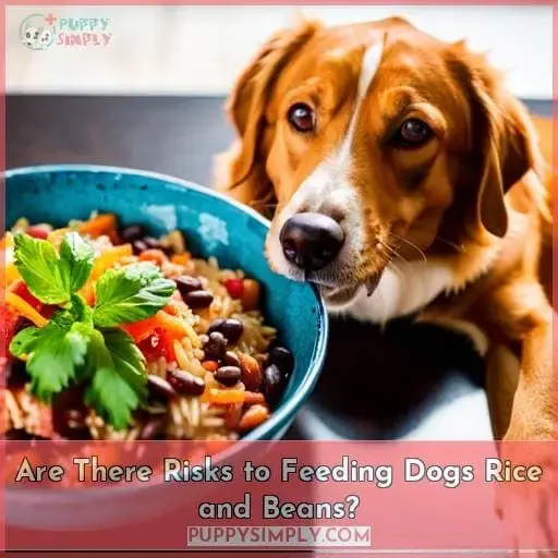 Are There Risks to Feeding Dogs Rice and Beans?