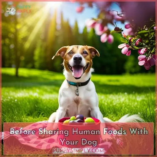 Before Sharing Human Foods With Your Dog