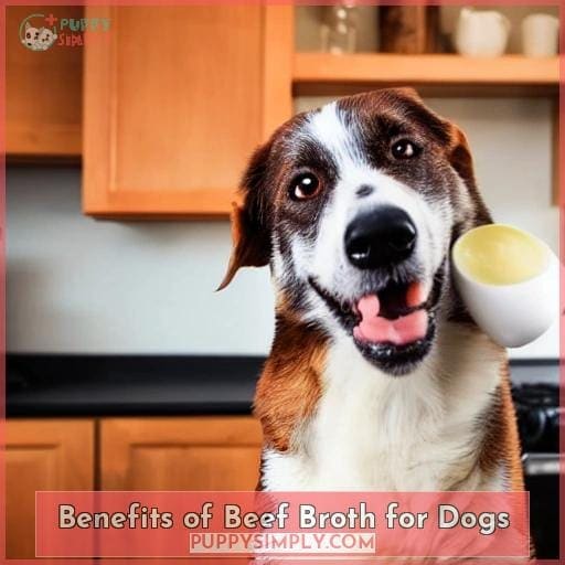 Benefits of Beef Broth for Dogs