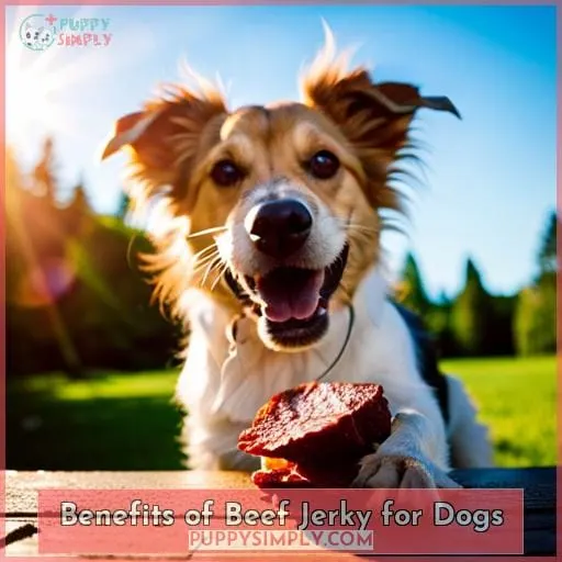 Benefits of Beef Jerky for Dogs