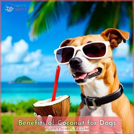 Benefits of Coconut for Dogs