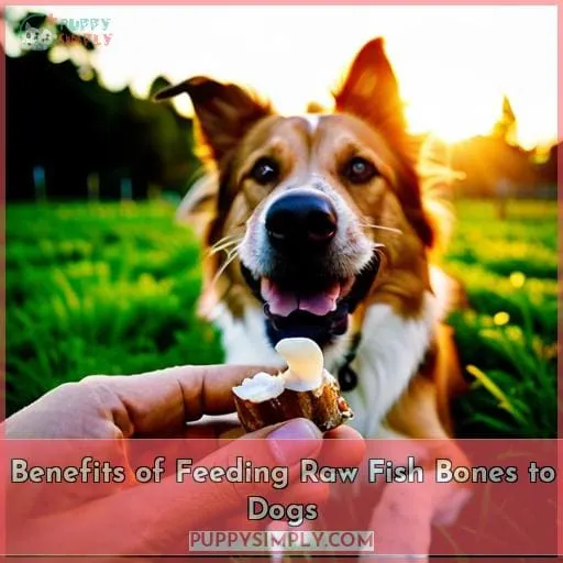 Benefits of Feeding Raw Fish Bones to Dogs