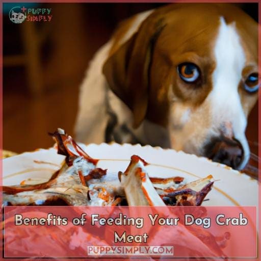 Benefits of Feeding Your Dog Crab Meat