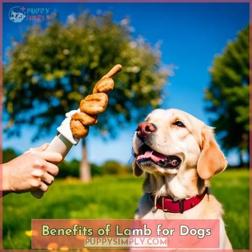 Benefits of Lamb for Dogs