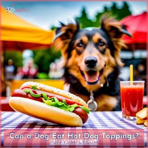 Can a Dog Eat Hot Dog Toppings?