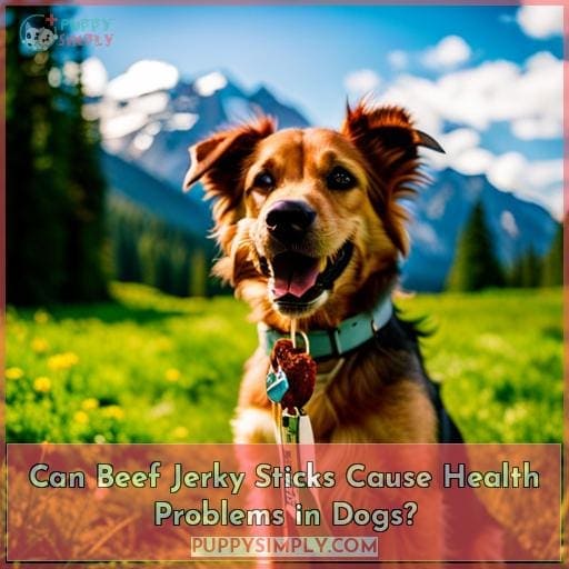Can Beef Jerky Sticks Cause Health Problems in Dogs?