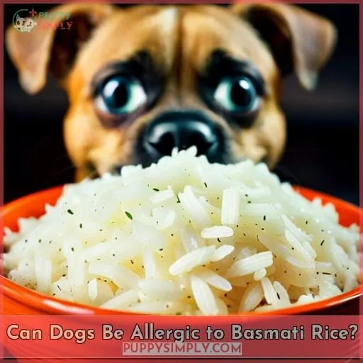 Can Dogs Be Allergic to Basmati Rice?