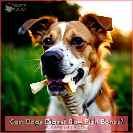 Can Dogs Digest Raw Fish Bones?