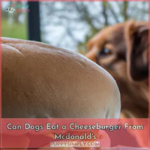 can dogs eat a cheeseburger from mcdonald's