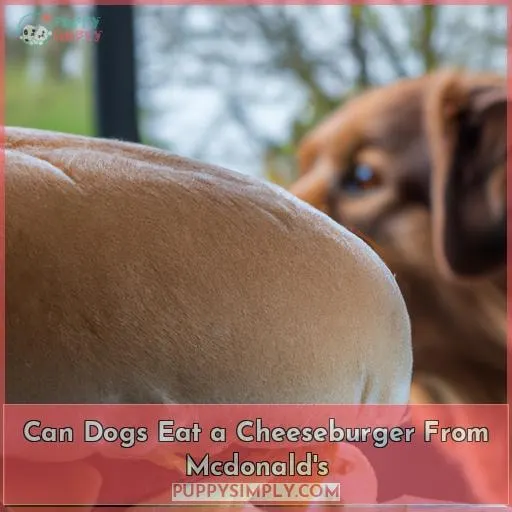 can dogs eat a cheeseburger from mcdonald