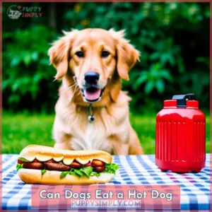 can dogs eat a hot dog