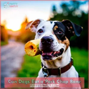 can dogs eat a pork chop bone