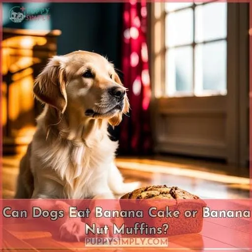 Can Dogs Eat Banana Cake or Banana Nut Muffins?